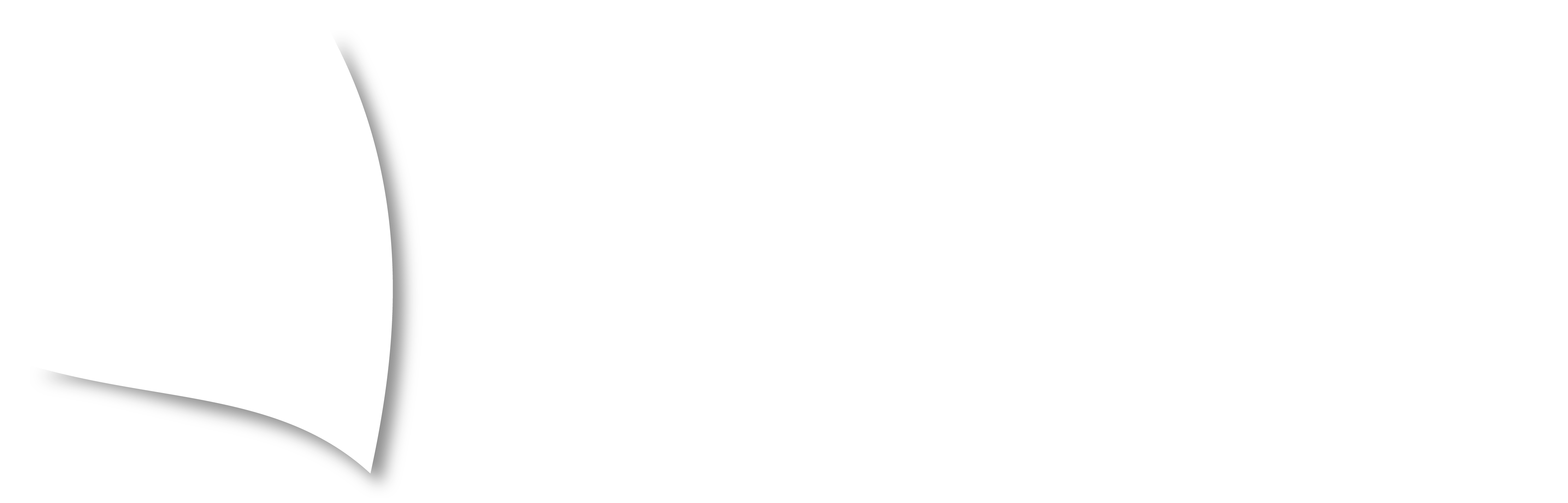 environnement-nouvelle-calédonie-logo-blanc