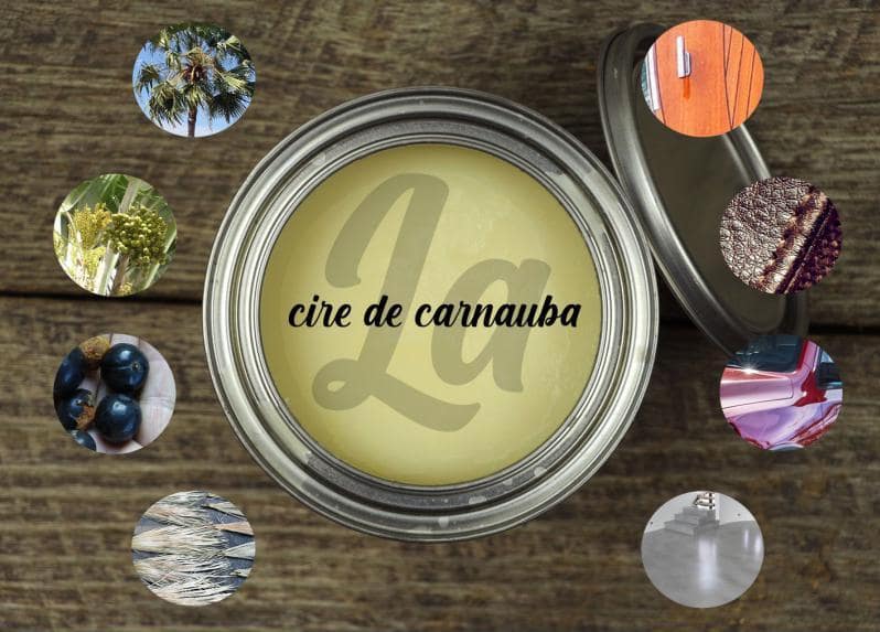 environnement-nc-cire-de-carnauba