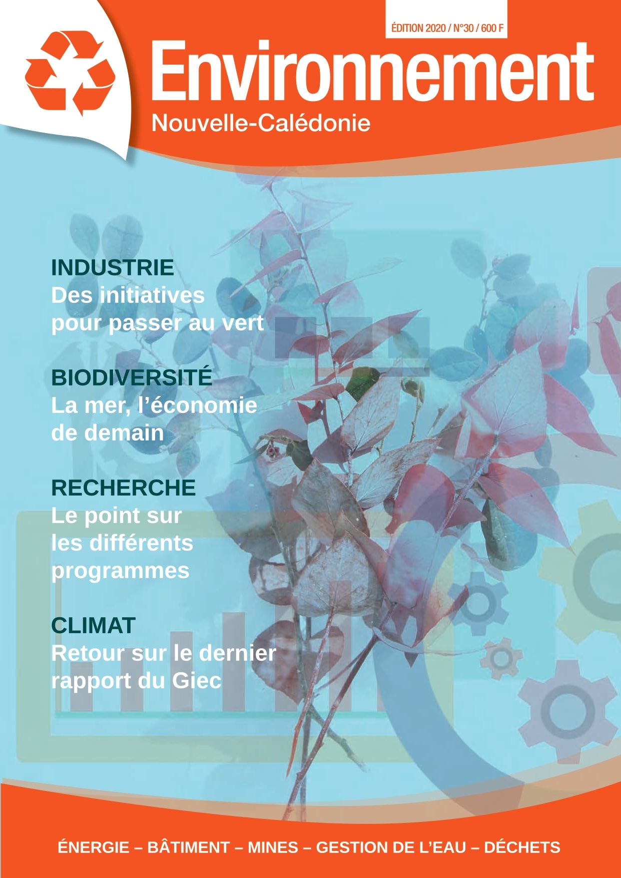 magazine-environnement-30-2020