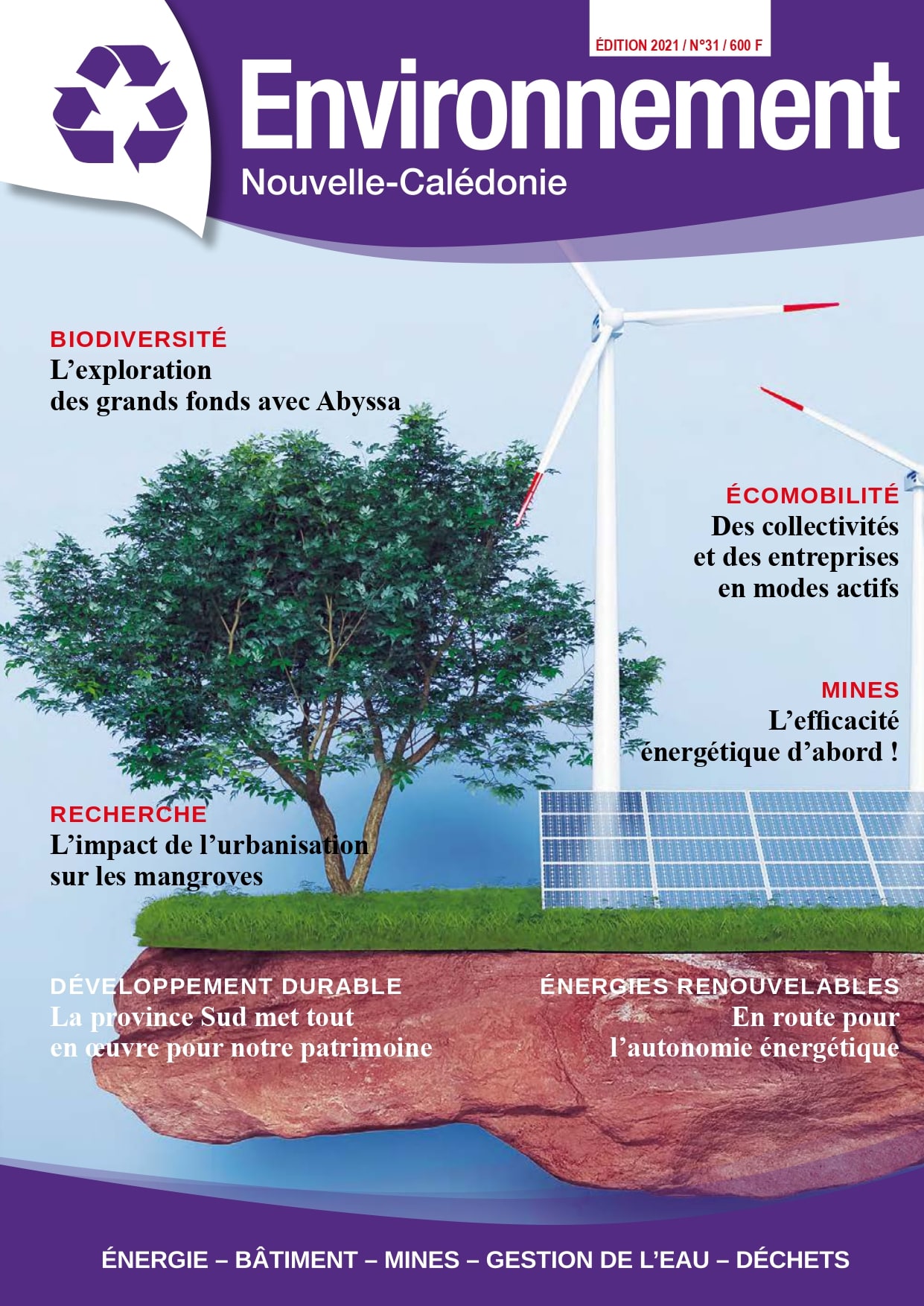magazine-environnement-31-2021